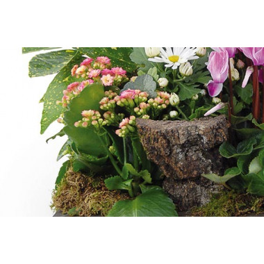 Fleurs en Deuil | vue sur le bas de la coupe de plantes Infini