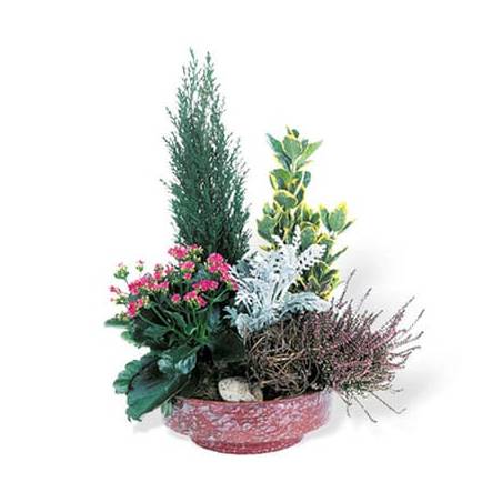 Fleurs en Deuil | Coupe de plantes vertes & fleuries Adieu Eternel