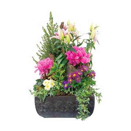 Fleur en Deuil | Composition verte & fleurie "Paradis"