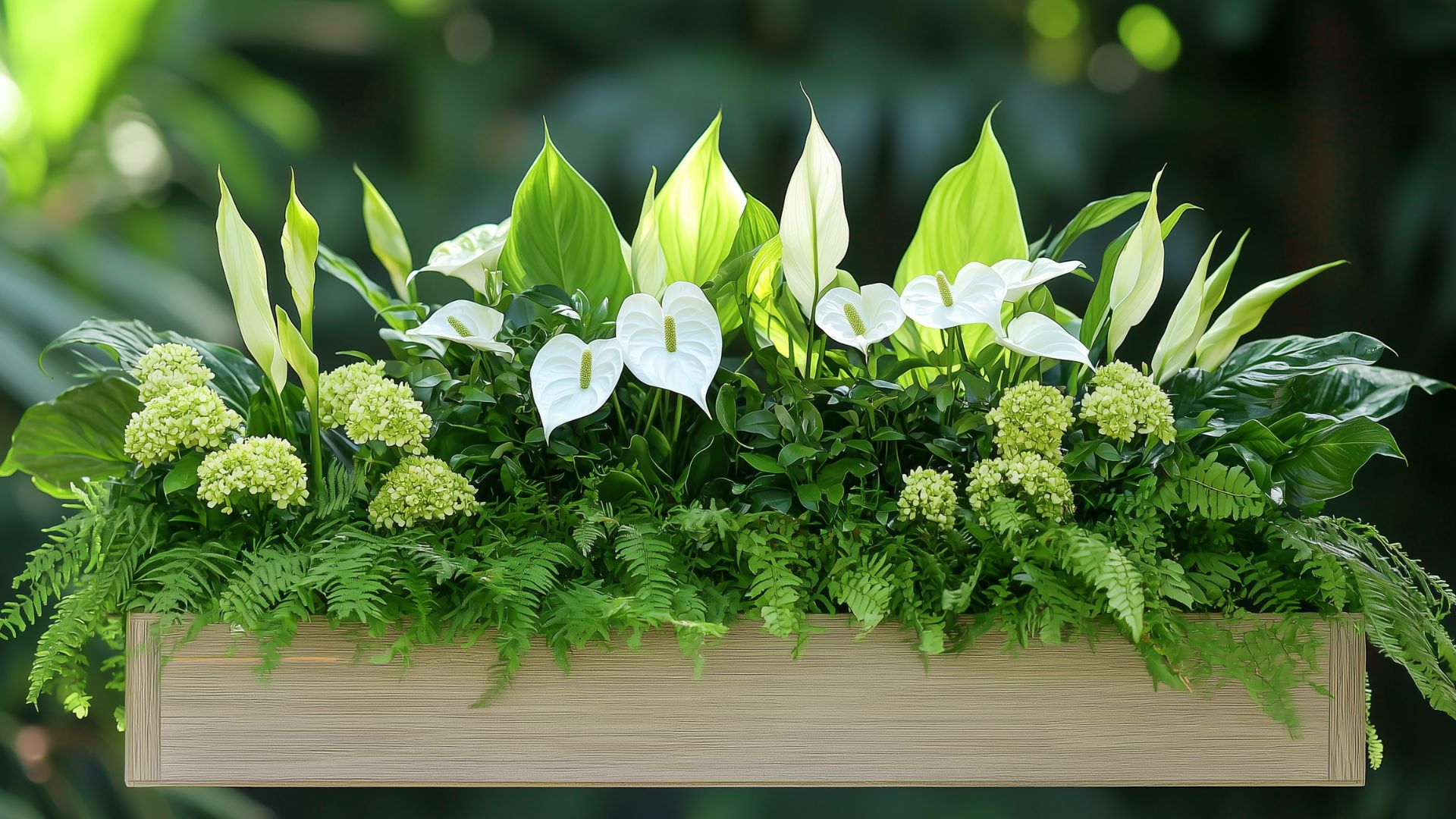 Jardin de plantes vertes et fleuries pour un souvenir durable